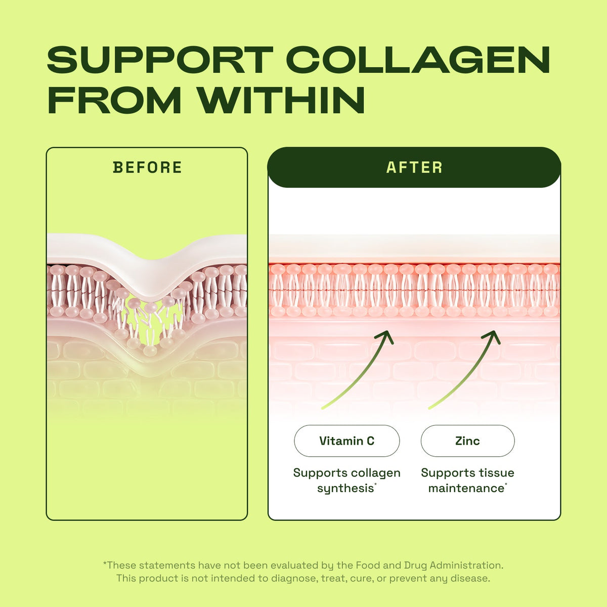 SENZIOLB | CA-AKG - BIOTIN - MSM