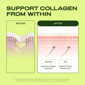 SENZIOLB | CA-AKG - BIOTIN - MSM