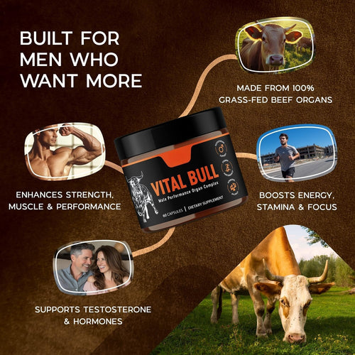 SENZIOLB | VITAL BULL Male Performance Organ Complex